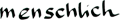 tl_files/bilder/meine_staerken/menschlich_text.png
